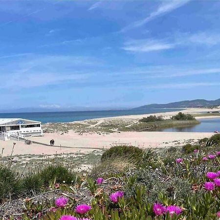 Charming Apartment With Parking, Mountain View, Close To The Beach Santa Maria Coghinas Bagian luar foto