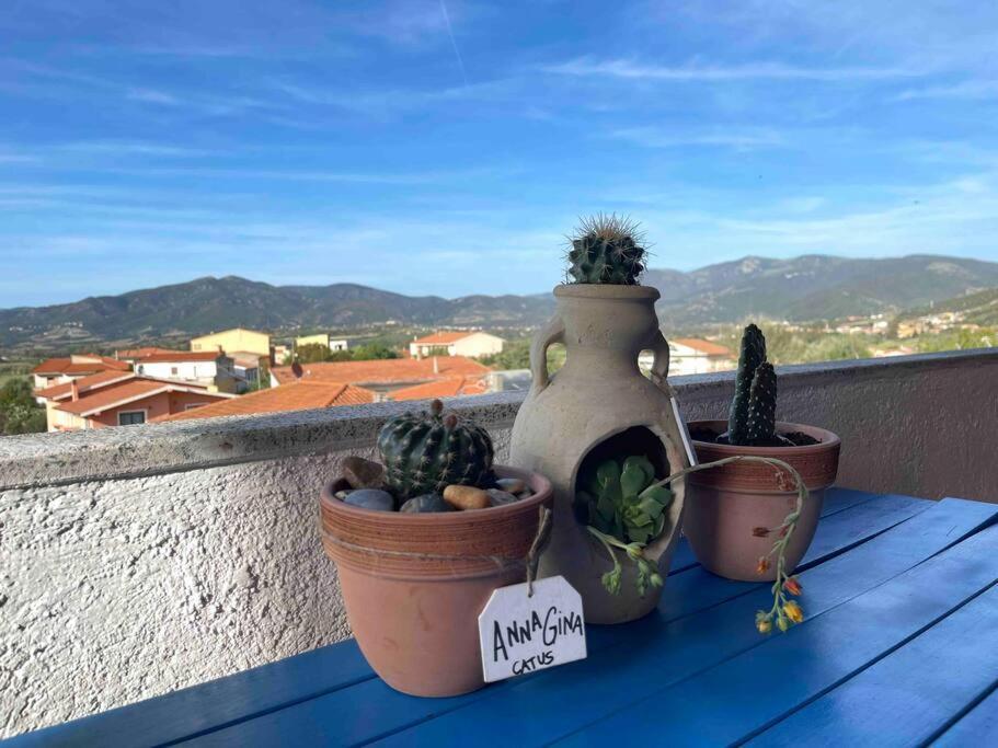 Charming Apartment With Parking, Mountain View, Close To The Beach Santa Maria Coghinas Bagian luar foto